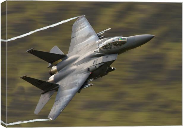 F15 fast and low Canvas Print by Rory Trappe