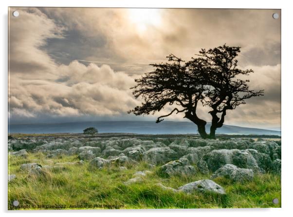 Twistleton Scar Acrylic by Jim Day