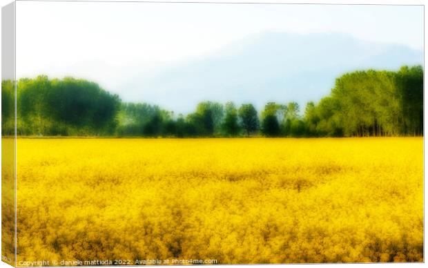 EFFECT ORTON on a field of yellow rapeseed flowers illuminated by the sun  Canvas Print by daniele mattioda