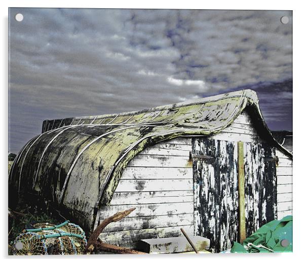Lindisfarne boat shed Acrylic by Colin Chipp