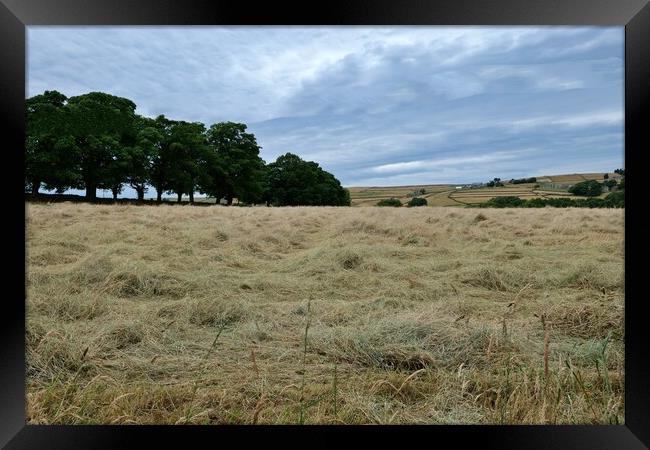 Yorkshire hay field  Framed Print by Roy Hinchliffe