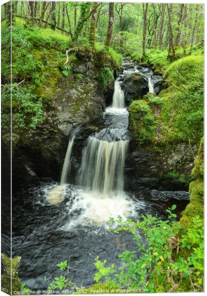 Waterfall at Wood of Cree, Dumfries & Galloway Canvas Print by Heather Athey