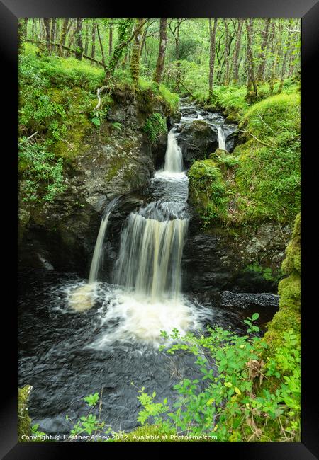 Waterfall at Wood of Cree, Dumfries & Galloway Framed Print by Heather Athey