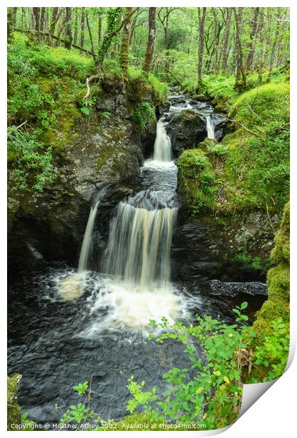 Waterfall at Wood of Cree, Dumfries & Galloway Print by Heather Athey