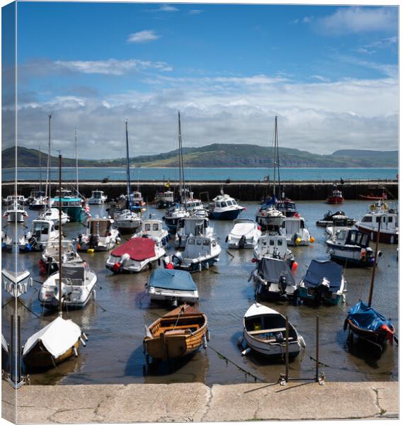 Outdoor Lyme Regis Harbour  Canvas Print by christian maltby