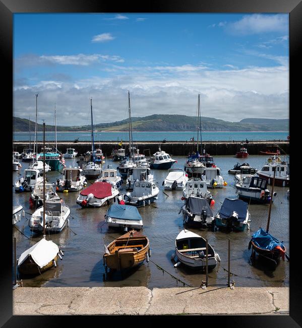 Outdoor Lyme Regis Harbour  Framed Print by christian maltby