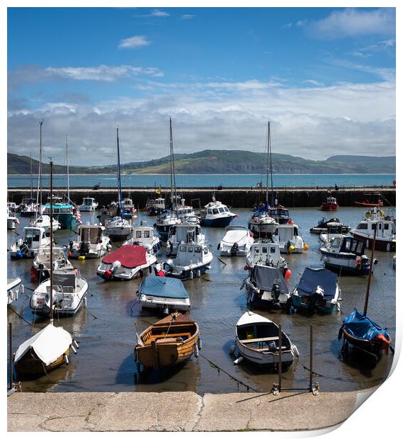 Outdoor Lyme Regis Harbour  Print by christian maltby