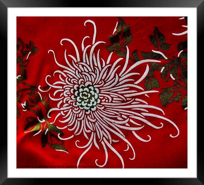 Abstract Chrysanthemum Framed Mounted Print by Stephanie Moore