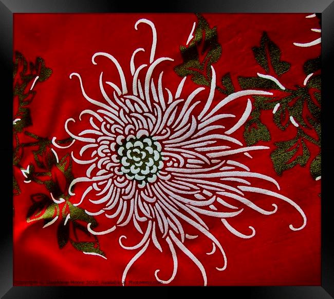 Abstract Chrysanthemum Framed Print by Stephanie Moore