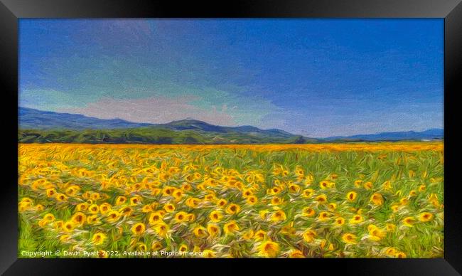 Sunflower Art Dreaming  Framed Print by David Pyatt