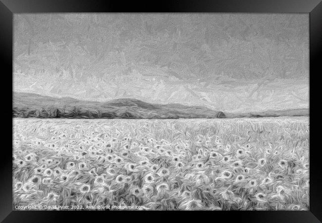 Sunflowers In Monochrome  Framed Print by David Pyatt