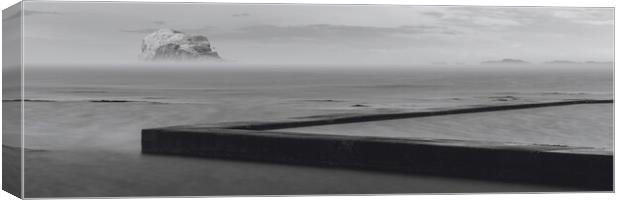 Bass Rock Panorama black and white  Canvas Print by Anthony McGeever