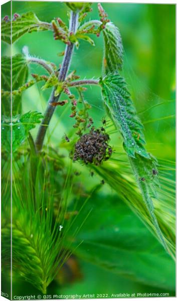 Hatchlings Canvas Print by GJS Photography Artist