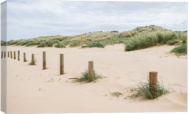 Wooden posts on Ainsdale beach Canvas Print by Jason Wells
