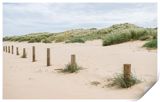 Wooden posts on Ainsdale beach Print by Jason Wells