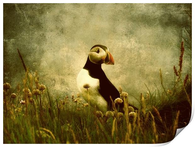 Puffin Among The Sea Pinks Print by Anne Macdonald