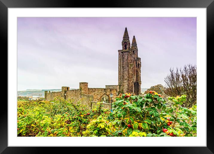 St Andrews Cathedral Ruin Framed Mounted Print by Valerie Paterson