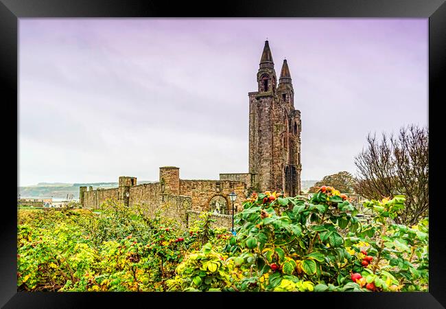 St Andrews Cathedral Ruin Framed Print by Valerie Paterson