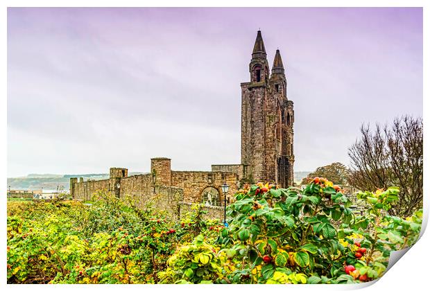 St Andrews Cathedral Ruin Print by Valerie Paterson
