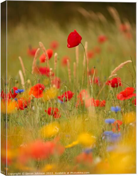 Poppys and meadow flowers  Canvas Print by Simon Johnson