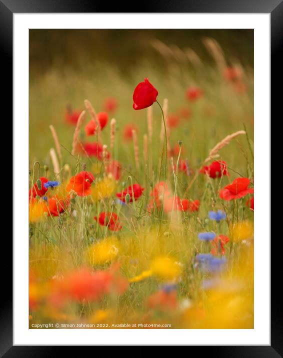 Poppys and meadow flowers  Framed Mounted Print by Simon Johnson