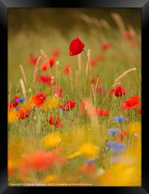 Poppys and meadow flowers  Framed Print by Simon Johnson
