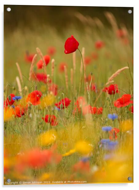 Poppys and meadow flowers  Acrylic by Simon Johnson