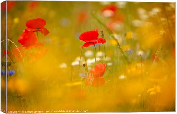  Poppys shot through grass Canvas Print by Simon Johnson