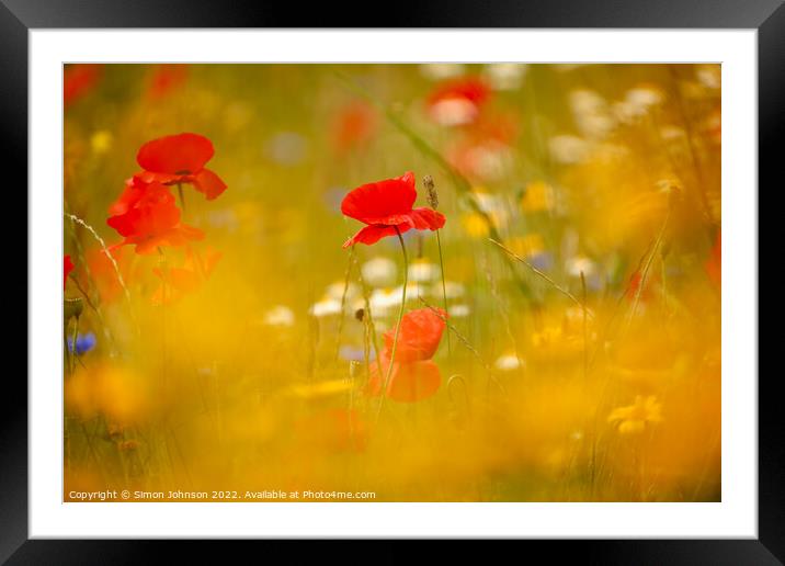  Poppys shot through grass Framed Mounted Print by Simon Johnson