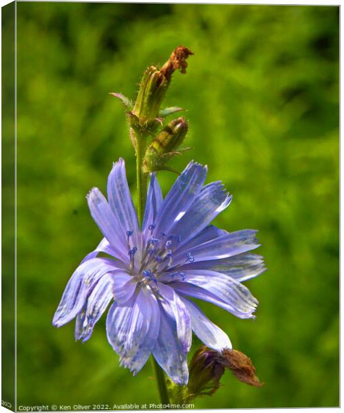 The Top Canvas Print by Ken Oliver