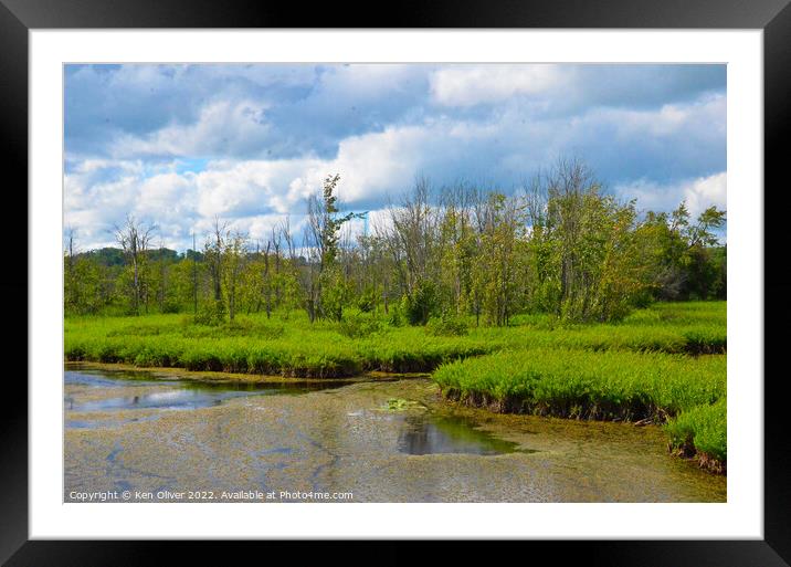 Marshy Lake Framed Mounted Print by Ken Oliver