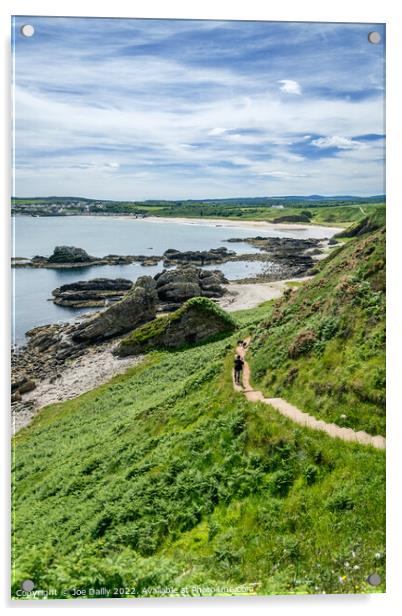 Cullen Beach from the Moray Coastal Path Acrylic by Joe Dailly