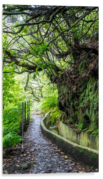 Ribeiro Frio Levada Walk, Madeira ( PR10) Acrylic by Jo Sowden
