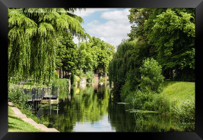 River Welland View in Spalding Lincolnshire Framed Print by Pearl Bucknall