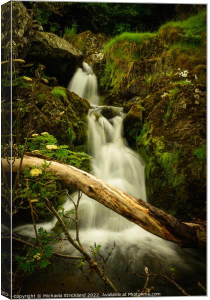 Stybeck Waterfall, Thirlmere, Lake District, Cumbria, UK Canvas Print by Michaela Strickland