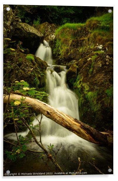 Stybeck Waterfall, Thirlmere, Lake District, Cumbria, UK Acrylic by Michaela Strickland