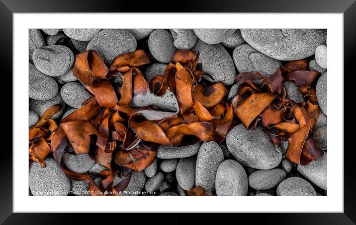 Abstract Sea Weed drying on a rocky Beach Framed Mounted Print by Joe Dailly