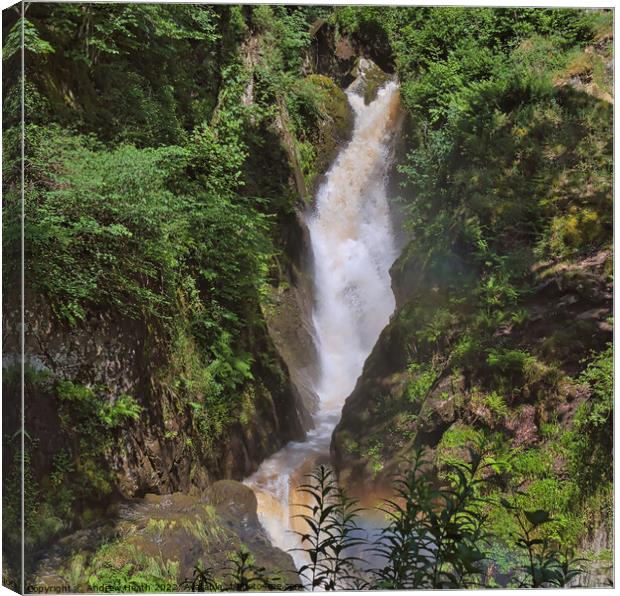 Aira Falls  Canvas Print by Andrew Heath