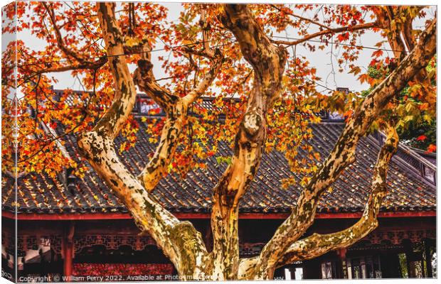 Ancient Chinese Roof Autumn Tree West Lake Hangzhou China Canvas Print by William Perry