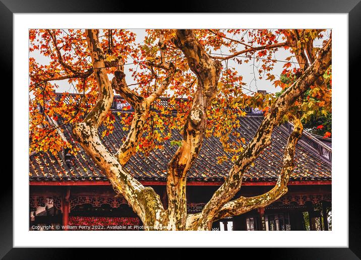 Ancient Chinese Roof Autumn Tree West Lake Hangzhou China Framed Mounted Print by William Perry