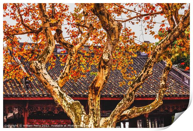 Ancient Chinese Roof Autumn Tree West Lake Hangzhou China Print by William Perry