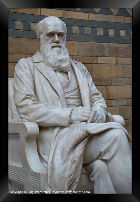 Statue of Charles Darwin in the Natural History Museum. London, UK. Framed Print by Luigi Petro