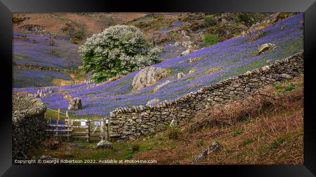 Gate into the  Rannerdale Bluebell fields Framed Print by George Robertson