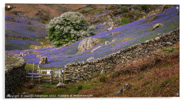 Gate into the  Rannerdale Bluebell fields Acrylic by George Robertson