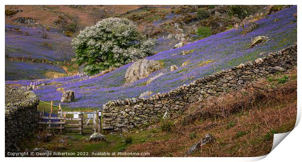 Gate into the  Rannerdale Bluebell fields Print by George Robertson