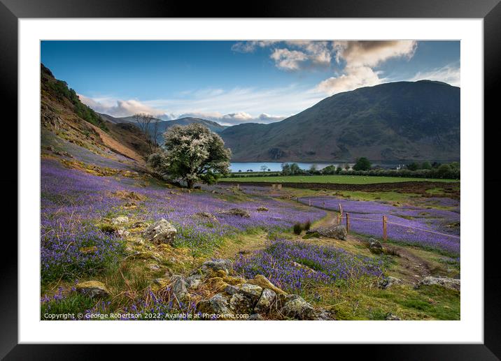 Crummock Water and Bluebells Framed Mounted Print by George Robertson