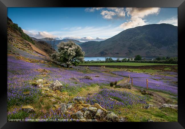 Crummock Water and Bluebells Framed Print by George Robertson