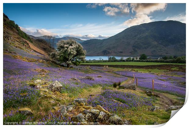 Crummock Water and Bluebells Print by George Robertson