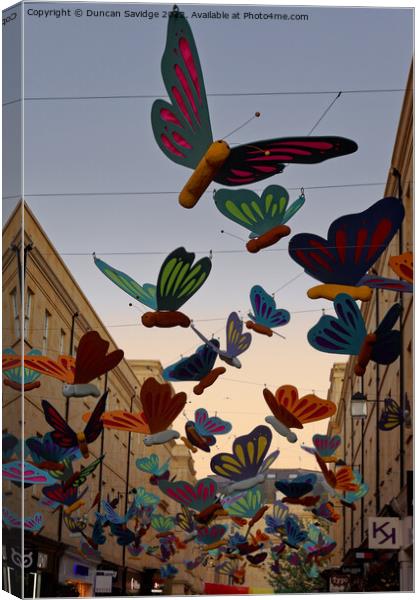 Butterfly display in Southgate Bath Canvas Print by Duncan Savidge