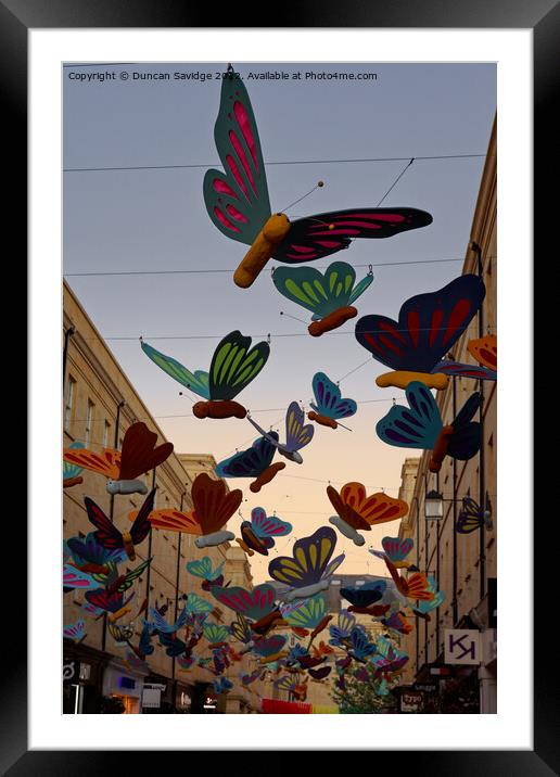 Butterfly display in Southgate Bath Framed Mounted Print by Duncan Savidge